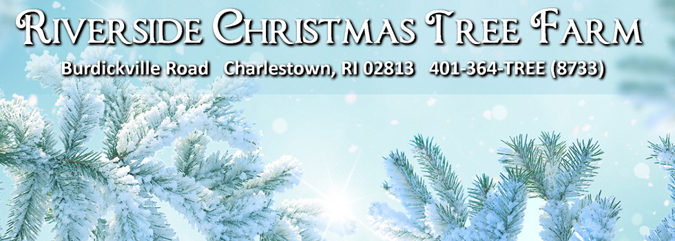 Riverside Christmas Tree Farm | 80 Burdickville Road | Charlestown, RI 02813 | 401-364-8733
